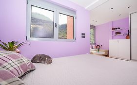 Apartments Princess View